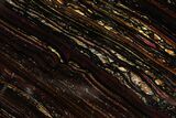 Polished Tiger Iron Stromatolite Slab - Billion Years #353239-1